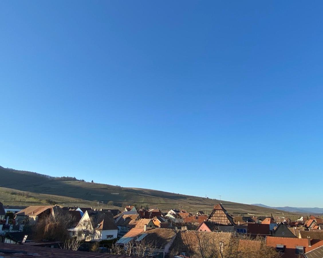 Duplex Le 12 - Appartement Avec Terrasse Dans Le Vignoble - 5 Mn Du Centre De Colmar Wettolsheim Exterior foto